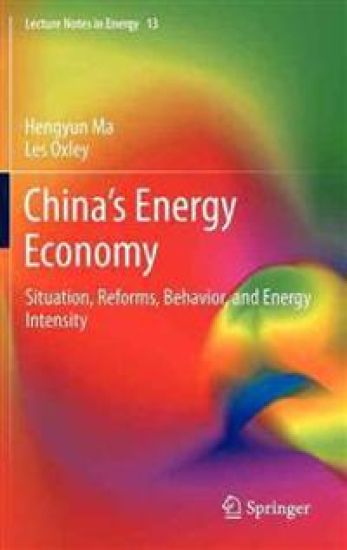 China’s Energy Economy