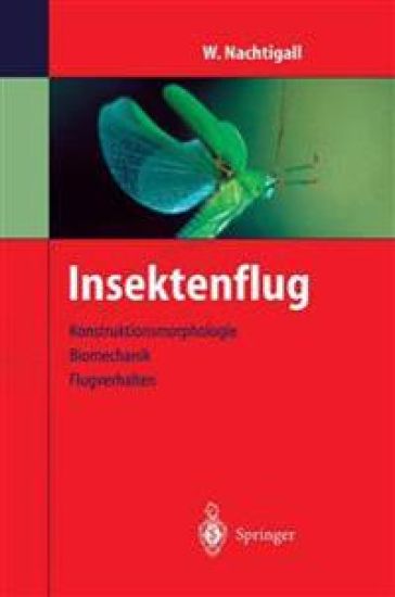 Insektenflug