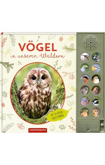 Vögel in unseren Wäldern