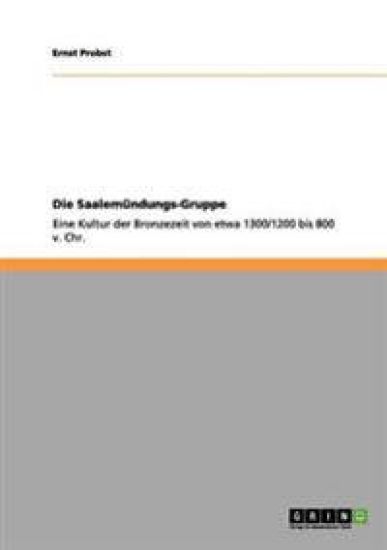 Die Saalemündungs-Gruppe