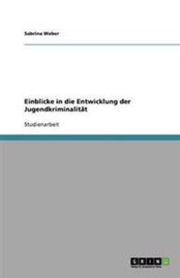 Einblicke in Die Entwicklung Der Jugendkriminalit t