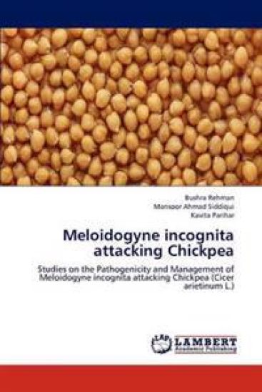 Meloidogyne incognita attacking Chickpea