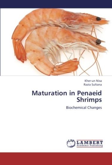 Maturation in Penaeid Shrimps