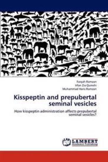 Kisspeptin and prepubertal seminal vesicles