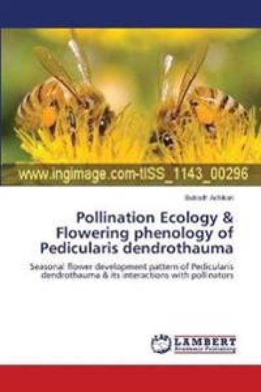 Pollination Ecology & Flowering phenology of Pedicularis dendrothauma