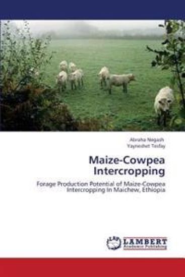 Maize-Cowpea Intercropping