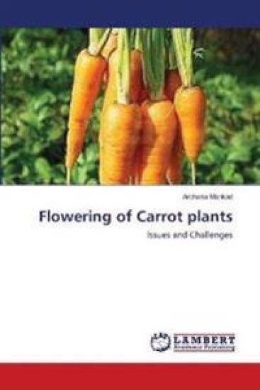 Flowering of Carrot plants
