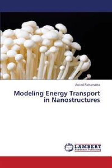 Modeling Energy Transport in Nanostructures