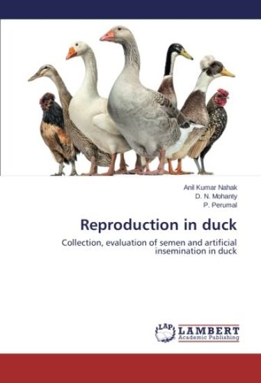 Reproduction in duck