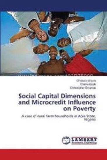 Social Capital Dimensions and Microcredit Influence on Poverty