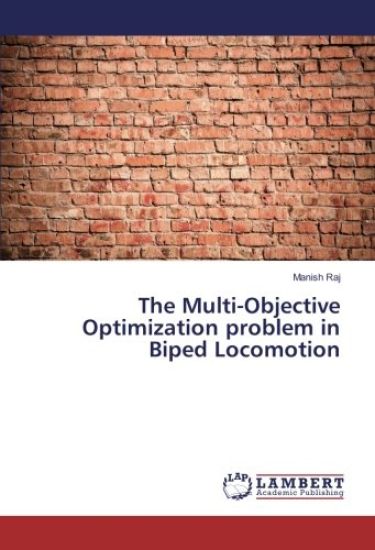 The Multi-Objective Optimization problem in Biped Locomotion