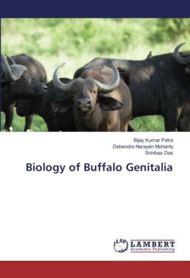 Biology of Buffalo Genitalia