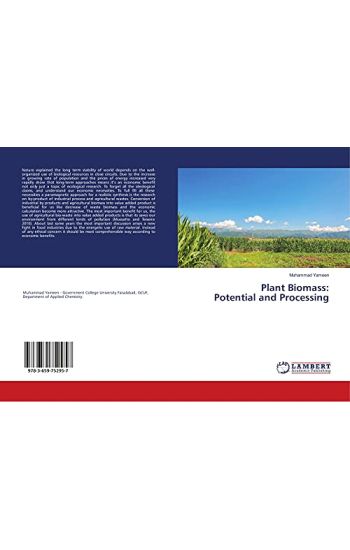 Plant Biomass: Potential and Processing