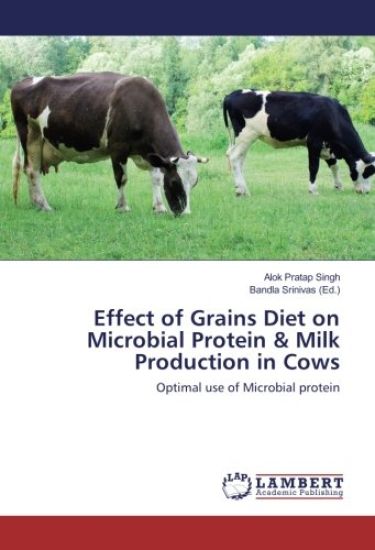 Effect of Grains Diet on Microbial Protein & Milk Production in Cows