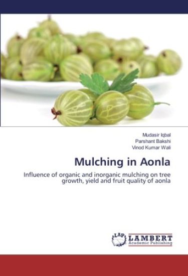 Mulching in Aonla