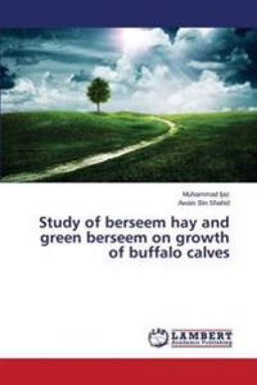 Study of berseem hay and green berseem on growth of buffalo calves