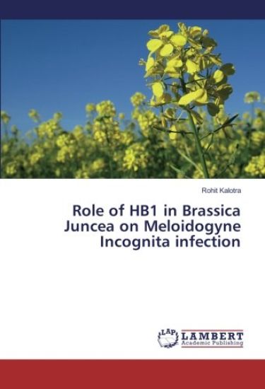 Role of HB1 in Brassica Juncea on Meloidogyne Incognita infection