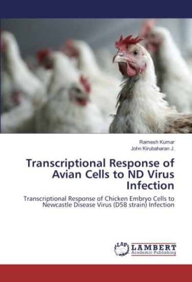 Transcriptional Response of Avian Cells to ND Virus Infection