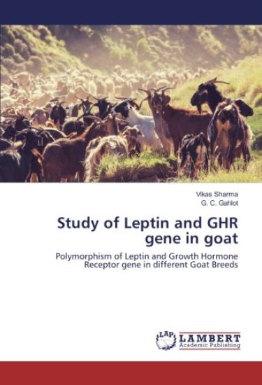 Study of Leptin and GHR gene in goat