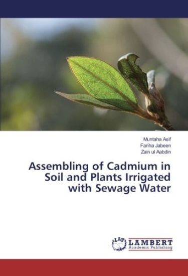 Assembling of Cadmium in Soil and Plants Irrigated with Sewage Water