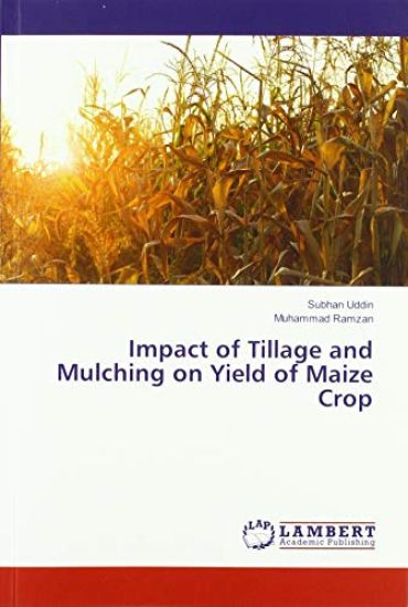 Impact of Tillage and Mulching on Yield of Maize Crop