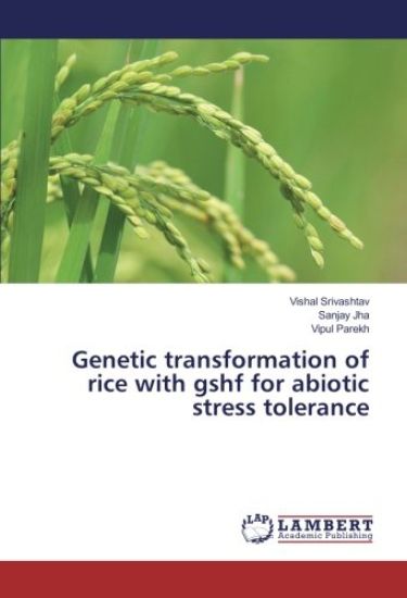 Genetic transformation of rice with gshf for abiotic stress tolerance