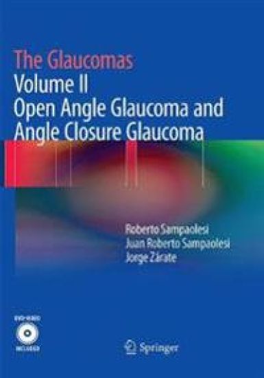 The Glaucomas