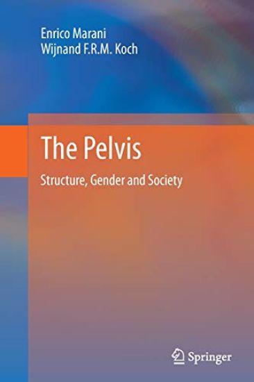 The Pelvis