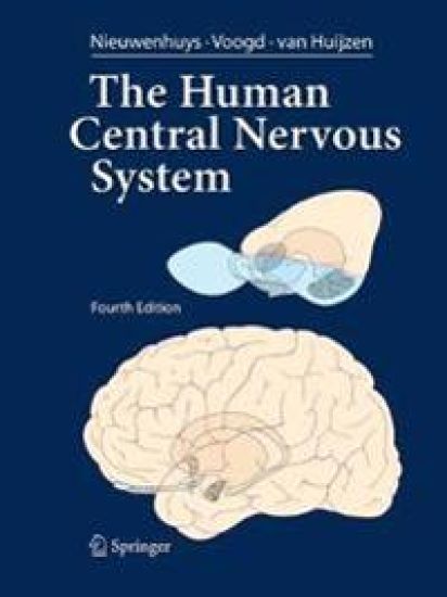 The Human Central Nervous System