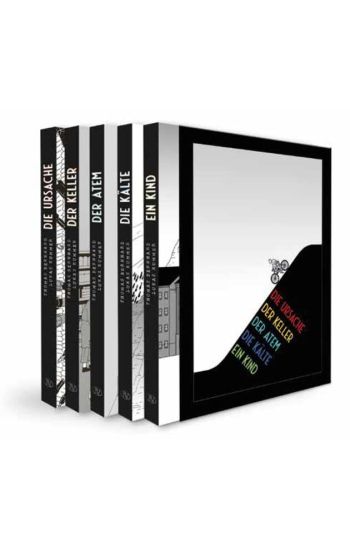 Die Autobiographie als Graphic Novel