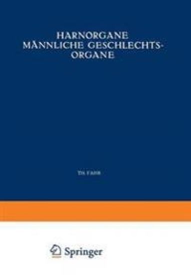 Harnorgane Männliche Geschlechtsorgane