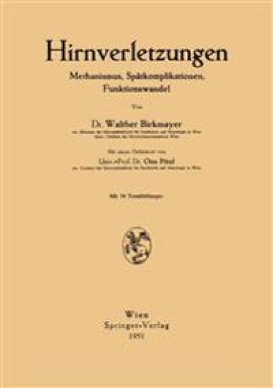Hirnverletzungen