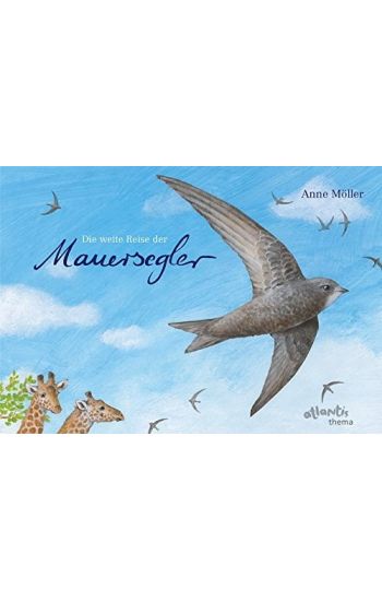 Die weite Reise der Mauersegler