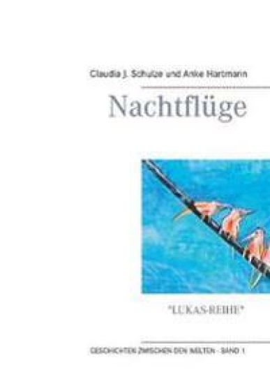 Nachtflüge