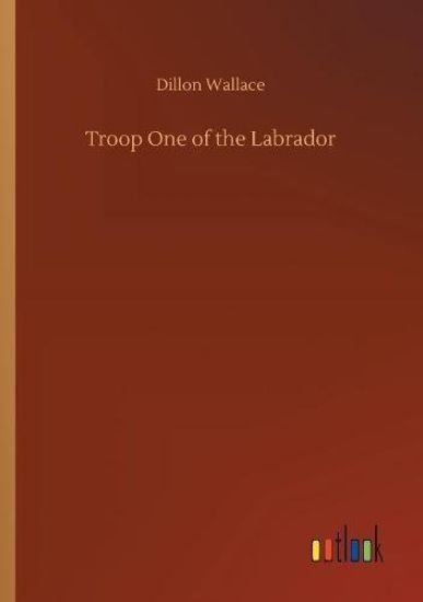 Troop One of the Labrador