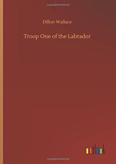 Troop One of the Labrador