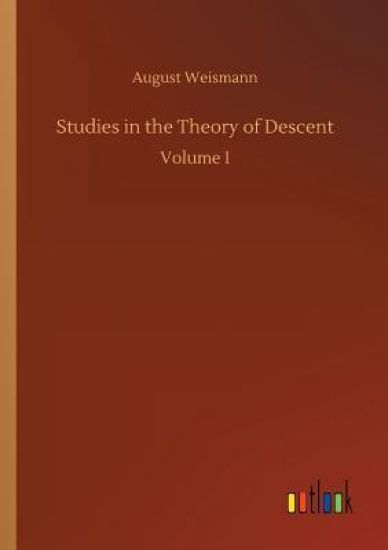 Studies in the Theory of Descent