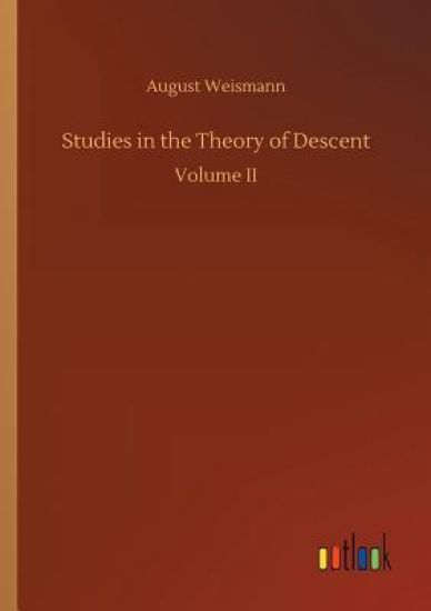 Studies in the Theory of Descent