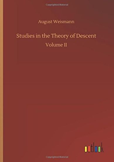 Studies in the Theory of Descent