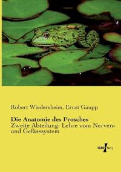 Die Anatomie des Frosches