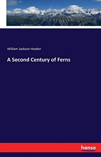 A Second Century of Ferns