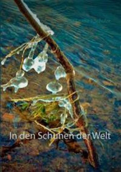 In den Schuhen der Welt