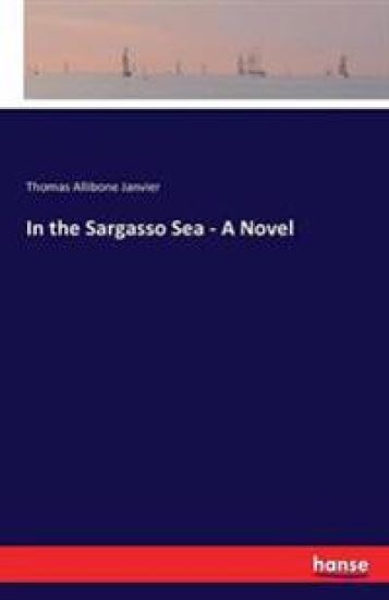 In the Sargasso Sea - A Novel