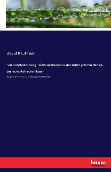Gemeindebesteuerung und Massenkonsum in den sieben grössten Städten des rechtsrheinischen Bayern