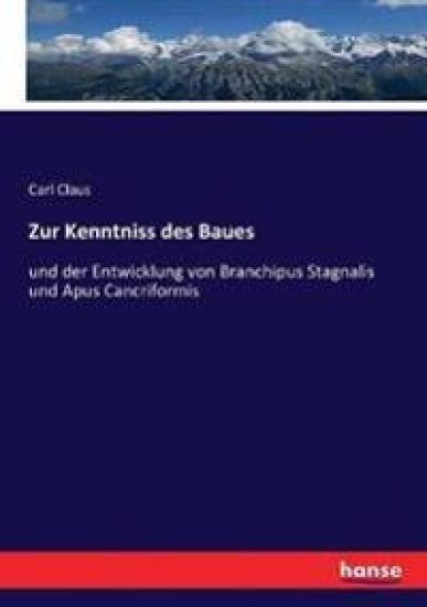 Zur Kenntniss des Baues