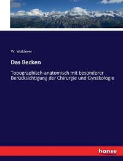 Das Becken