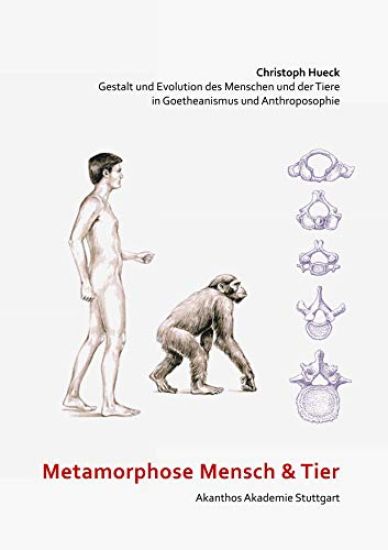 Metamorphose Mensch und Tier