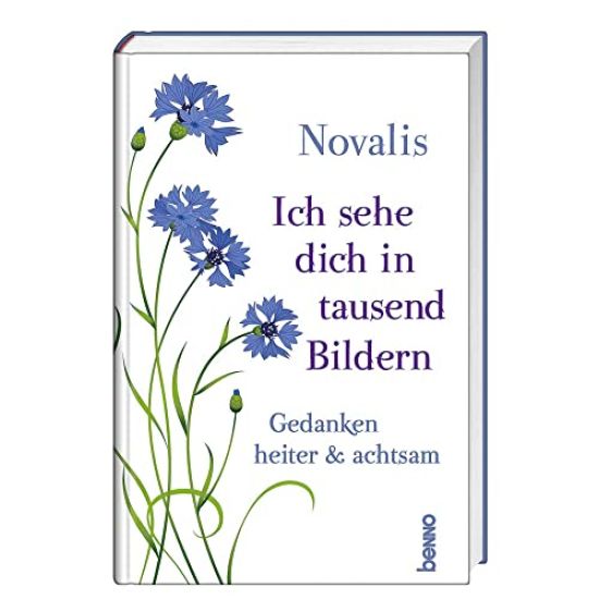Ich sehe dich in tausend Bildern