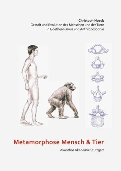 Metamorphose Mensch und Tier