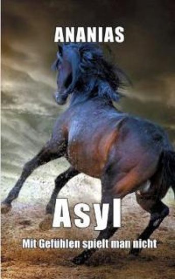 Asyl
